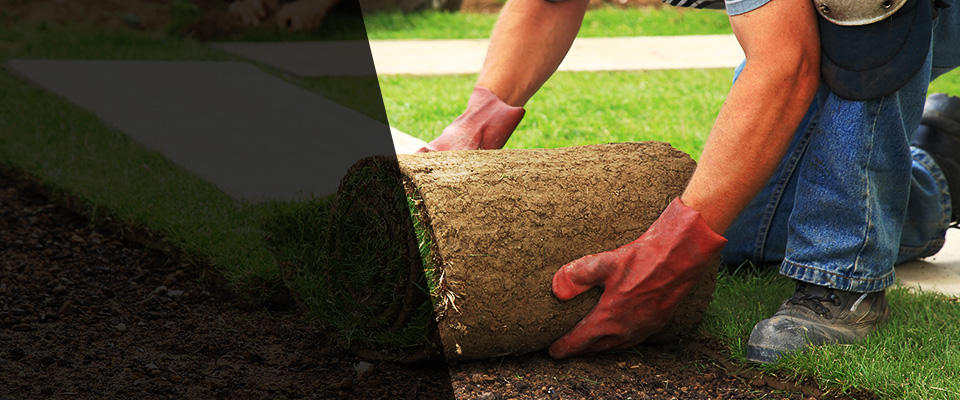 Belvidere Landscapers